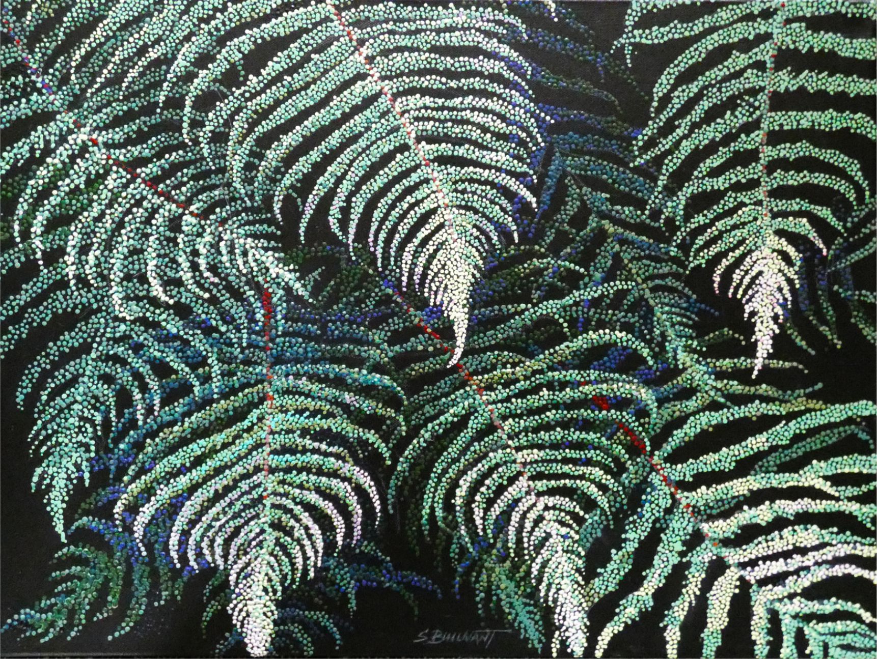 Ferns