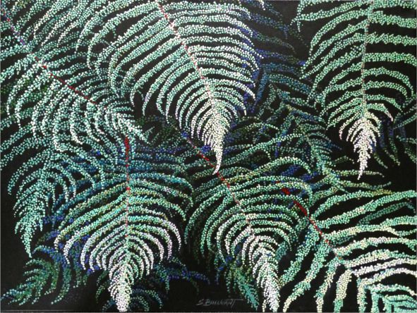 Ferns
