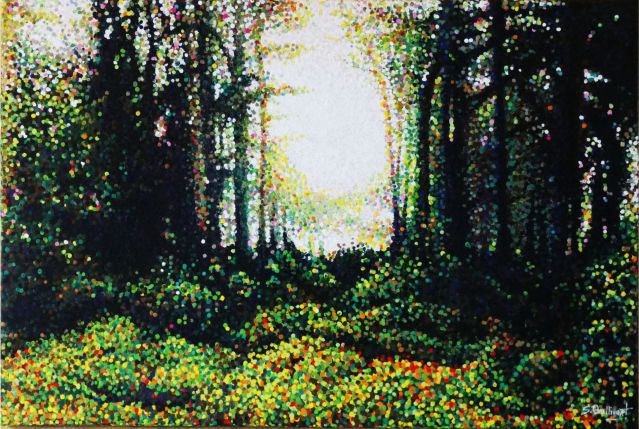Forest Light