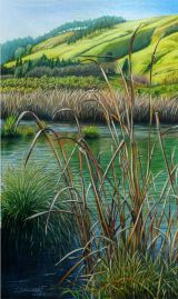PekaPeka, Hawkes Bay