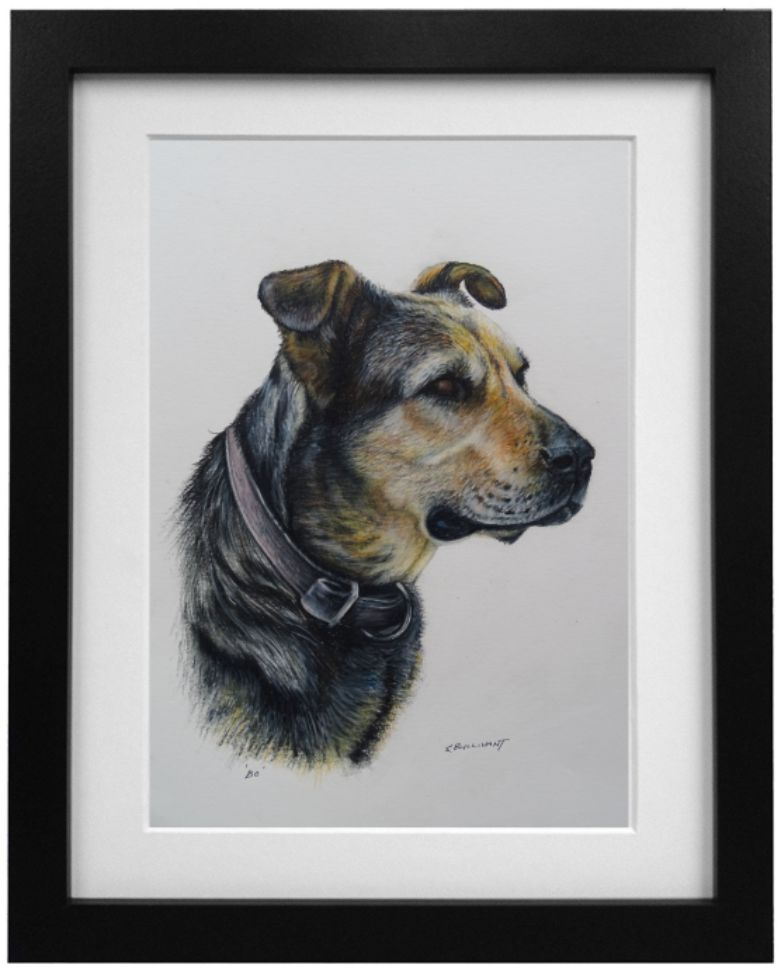 'Bo' the Hunterway