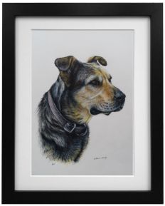 'Bo' the Hunterway