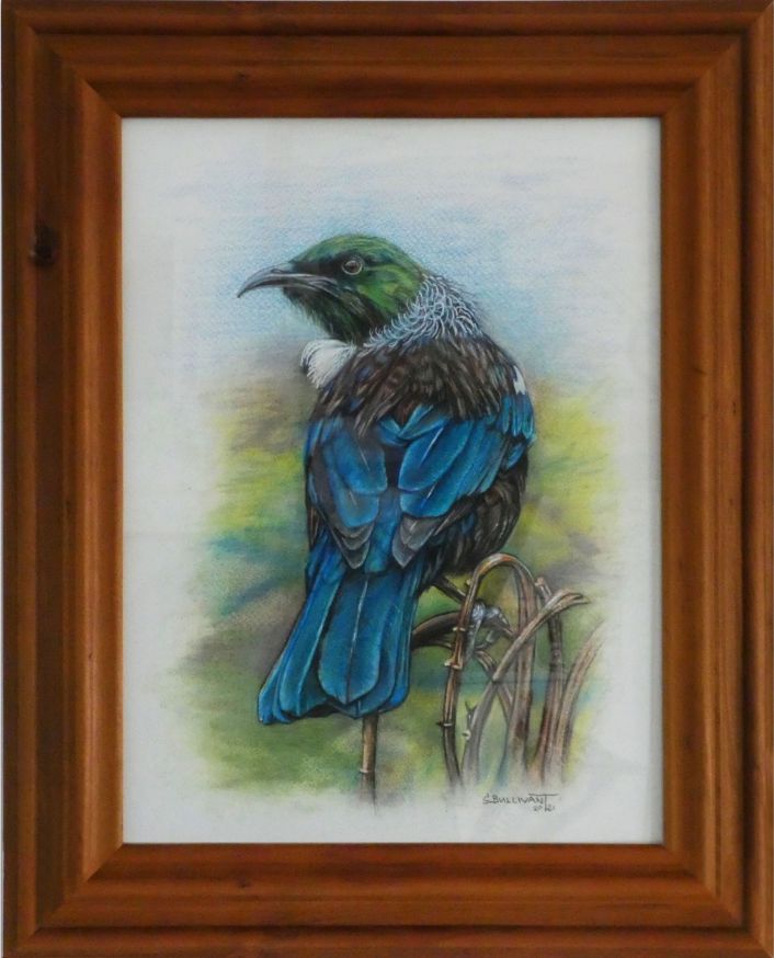 Tui